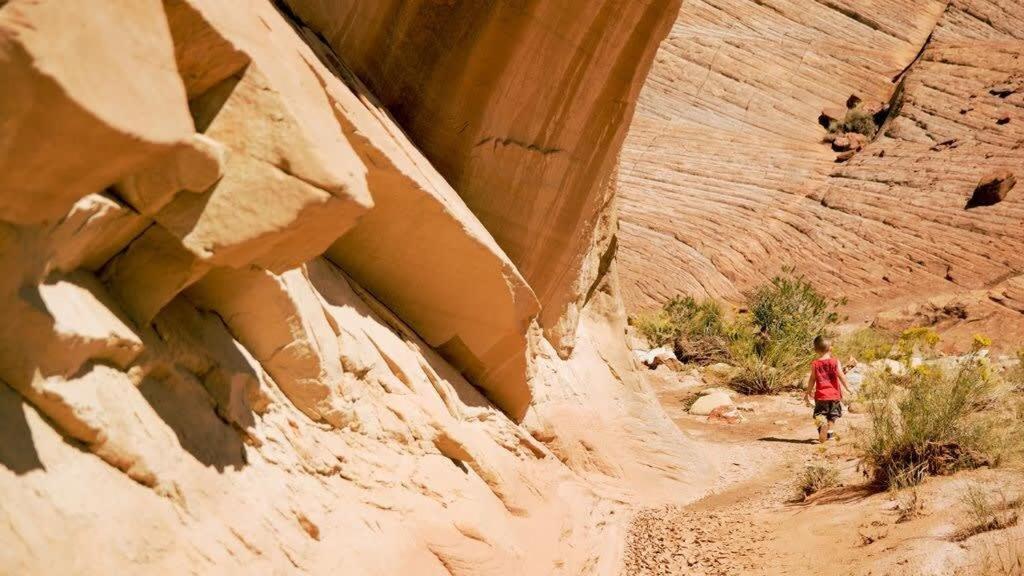 Escalante Escapes Desert Willow- Loft Escape Εξωτερικό φωτογραφία